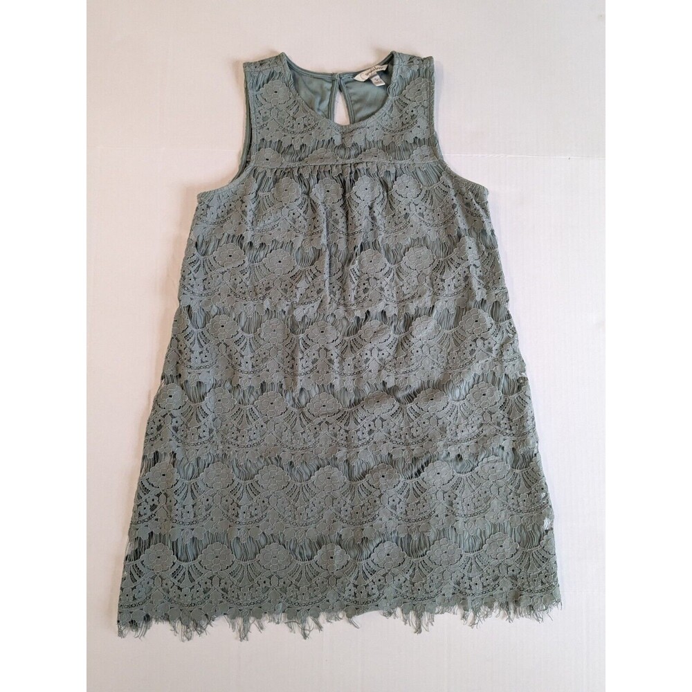 Speechless A-Line Dress Size Small Sage Floral Pattern Lace over Knit Lining